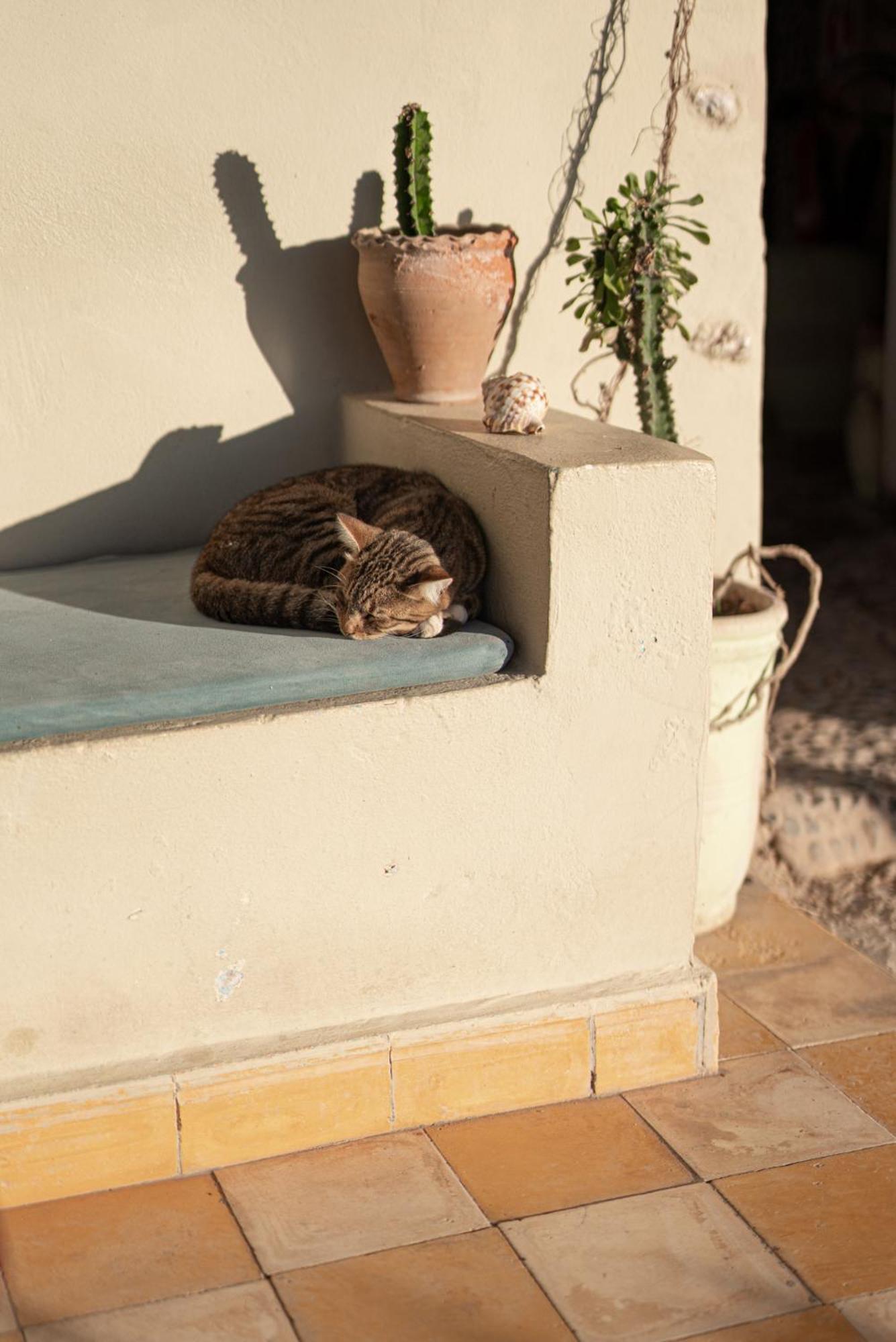 Dar Afoulky Maison D'Hotes Sidi Kaouki Dış mekan fotoğraf